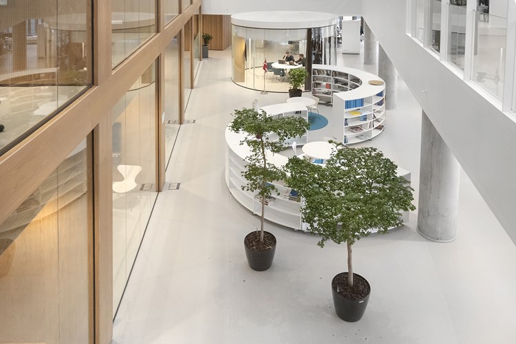 Företags- bibliotek