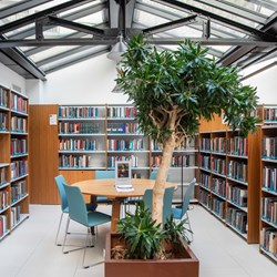 American University of Paris, Frankrike