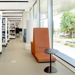 Toulouse bibliotek, Frankrike
